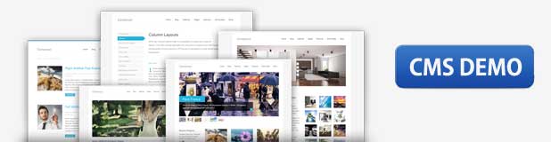 Ecommerce website demo